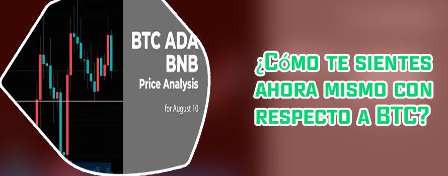 Btc bnb chart
