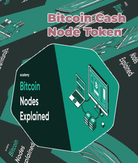 Btc node