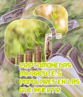 Cuanto hay que invertir en criptomonedas