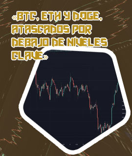 Fear btc