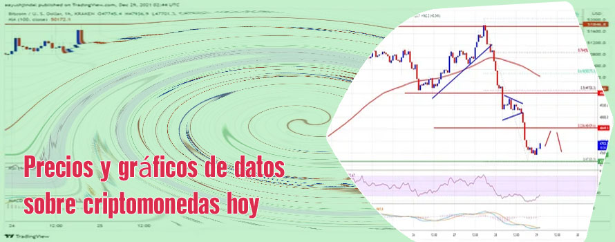 Precio del bitcoin en dolar