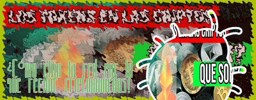 Que son las redes de criptomonedas