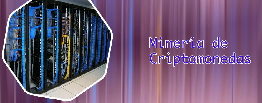 Rack de criptomonedas