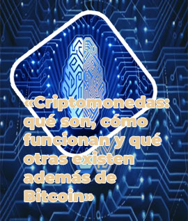 Redes criptomonedas