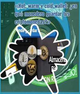 Wallet fría criptomonedas